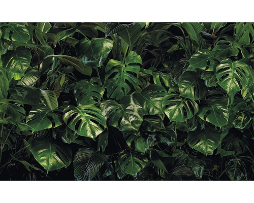 Papier peint panoramique intissé P333-VD4 Pure Tropical Wall 4 pces 400 x 250 cm Gros plan d''un fond dense de feuilles tropicales.