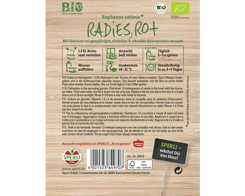 Semences germées de radis biologiques pour la culture de graines germées
