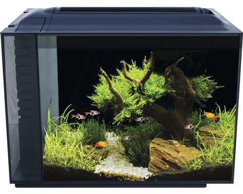 Aquarium Fluval Spec XV 60 l avec éclairage LED et système de filtre, noir