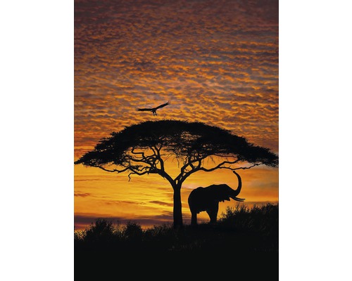 Papier peint panoramique 4-501 VOL 15 Papier African Sunset 4 pces 194 x 270 cm Silhouette d''un éléphant et d''un oiseau sous un arbre au coucher du soleil