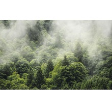 Papier peint panoramique intissé PSH061-VD4 Pure Forest Land 4 pces 400 x 250 cm