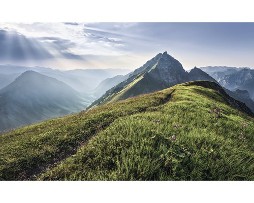 Papier peint panoramique intissé PSH093-VD4 Pure Green Vein 4 pces 400 x 250 cm Paysage de montagne avec sommet, crête et prairie