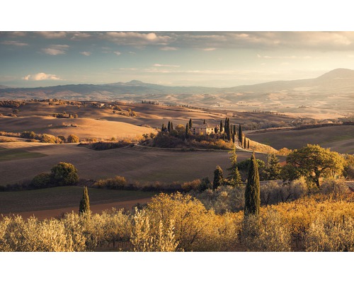 Papier peint panoramique intissé PSH094-VD4 Pure Toskanagold 4 pces 400 x 250 cm Paysage toscan avec ferme et cyprès