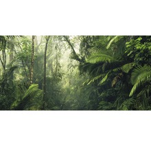 Jungle avec végétation dense et arbres