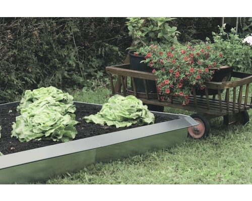 Hochbeet aus Metall mit Salat und ein Bollerwagen mit Blumen im Garten.