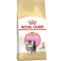 Royal Canin Persian Kitten Trockenfutter für Perserkatzen