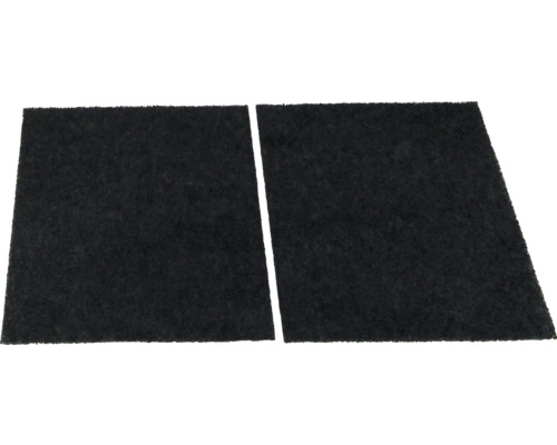 Kohlefilter Amica KF 17135 2 Stück Zwei schwarze Filtermatten