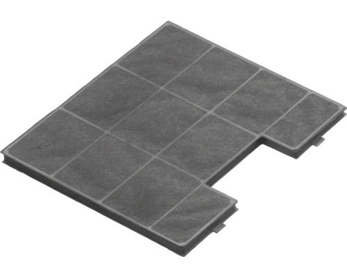 Kohlefilter Amica KF 17142 1 Stück Dunstabzugshaubenfilter aus Aktivkohle