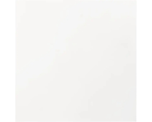 Arrière-plan blanc.