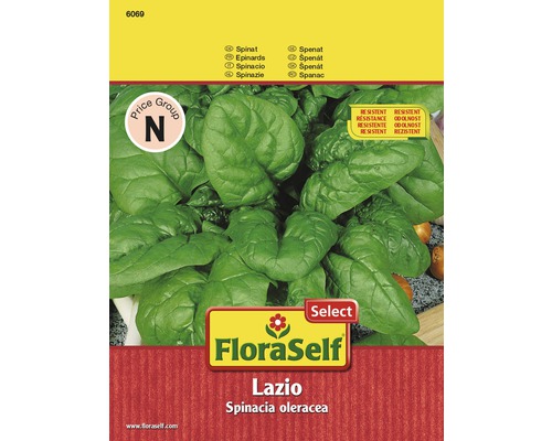 Épinards 'Lazio' FloraSelf Select semences de légumes hybrides F1
