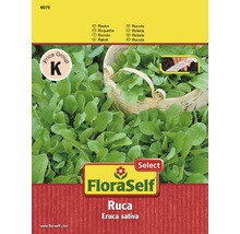 FloraSelf Ruca-Saatgutpackung mit Rauke im Korb