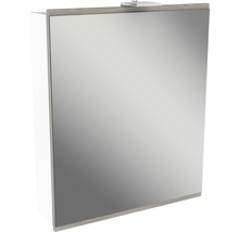 Spiegelschrank FACKELMANN Lima weiß Steinesche 60 x 15,5 x 73 cm 1-türig LED IP 20