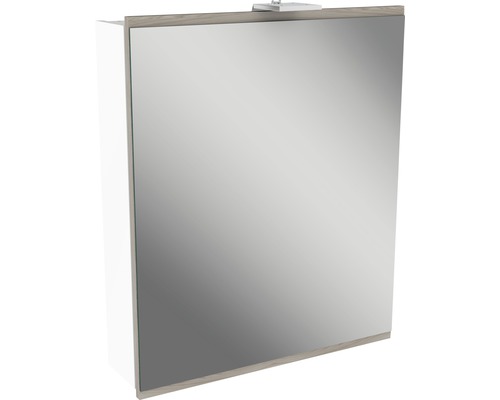 Armoire de toilette FACKELMANN Lima 60 x 15,5 x 73 cm blanc 1 porte led IP 20