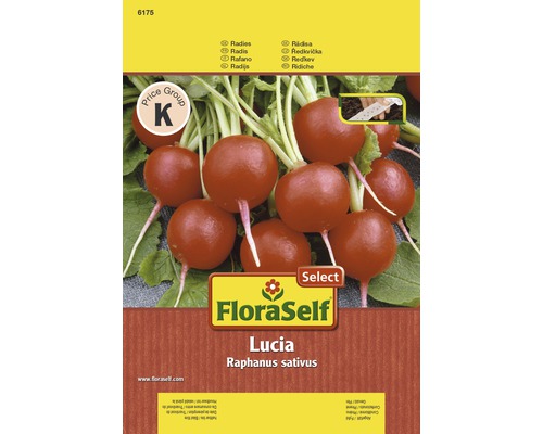 Radis 'Lucia' FloraSelf Select semences de légumes hybrides F1