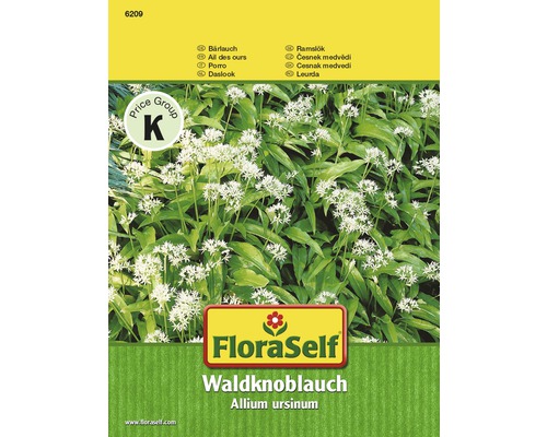 Ail des ours 'Waldknoblauch' FloraSelf semences non-hybrides semences de fines herbes