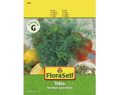 Aneth 'Tetra' FloraSelf semences non-hybrides semences de fines herbes-0