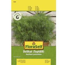 Aneth 'Delikat' FloraSelf semences non-hybrides semences de fines herbes-thumb-0