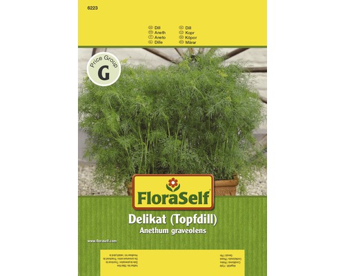 Aneth 'Delikat' FloraSelf semences non-hybrides semences de fines herbes-0