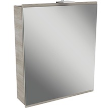 Spiegelschrank FACKELMANN Lima Steinesche 60 x 15,5 x 73 cm grau 1-türig LED IP 20