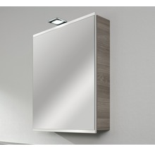 Spiegelschrank FACKELMANN Lima Steinesche weiß 60 x 15,5 x 73 cm 1-türig LED IP 20