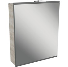 Spiegelschrank FACKELMANN Lima Steinesche Basaltgrau 60 x 15,5 x 73 cm grau 1-türig LED IP 20