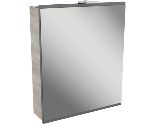 Armoire de toilette FACKELMANN Lima 60 x 15,5 x 73 cm gris 1 porte led IP 20