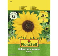 Tournesol 'Holiday' FloraSelf semences non-hybrides graines de fleurs-thumb-0