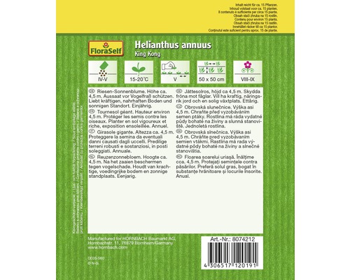 Emballage de graines de tournesol variété King Kong avec informations sur le semis, l''emplacement et l''entretien