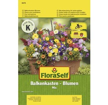 Mélange de graines de fleurs FloraSelf 'Fleurs pour balconnière' semences non-hybrides-thumb-0