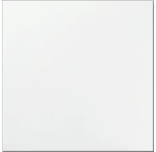 Carrelage de sol uni, blanc, poli, 30x30 cm-thumb-0