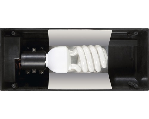 Lampe à économie d''énergie dans un luminaire extérieur noir