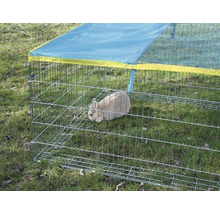 Lapin dans un enclos extérieur avec protection solaire