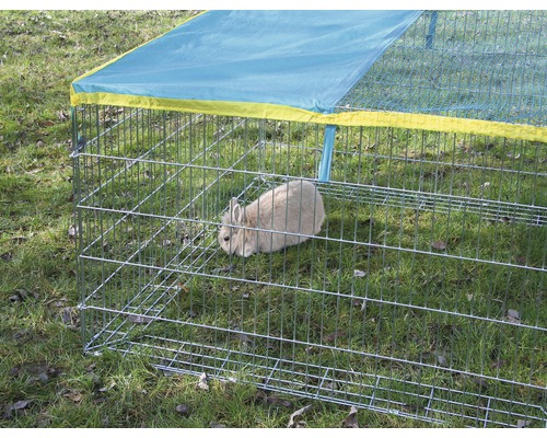 Lapin dans un enclos extérieur avec protection solaire