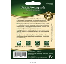 Gewächshausgurken - Saturn Gemüsesamen