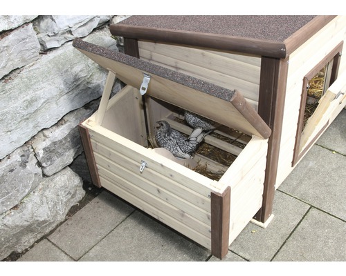 Poulailler avec pondoir et poules