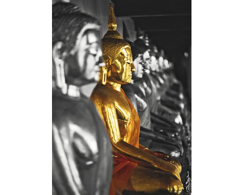 Fototapete Papier 904 The golden Asia 1-tlg. 160 x 115 cm Reihe sitzender Buddha Statuen