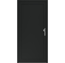Porte extérieure noire avec poignée