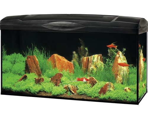 Aquarium Marina Complete 54 avec éclairage LED, filtre, chauffage, nourriture, noir