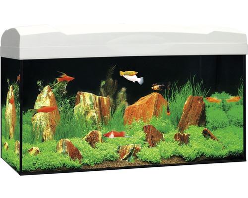 Aquarium Marina Complete 54 avec éclairage LED, filtre, chauffage, nourriture, blanc