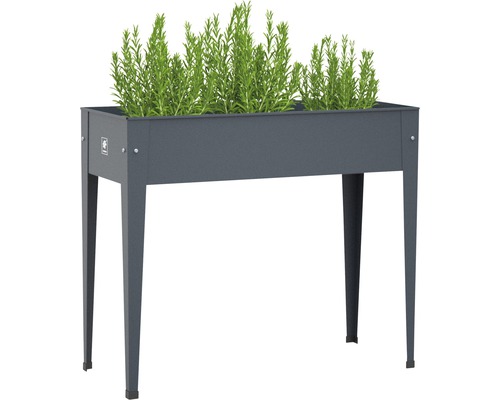 Jardinière surélevée sur pilotis Herstera Garden Urban 100x40x84 cm anthracite Jardinière sur pieds en métal avec des plantes