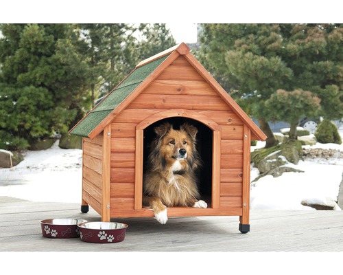 Hund im Hundehaus aus Holz mit zwei Futternäpfen