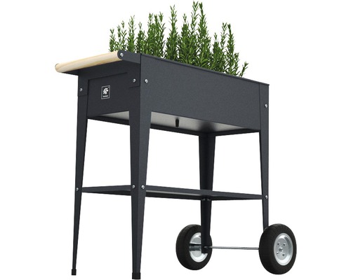 Hochbeet aus Metall mit Rädern und Pflanzen