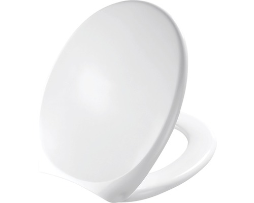 Toilettendeckel aus Kunststoff