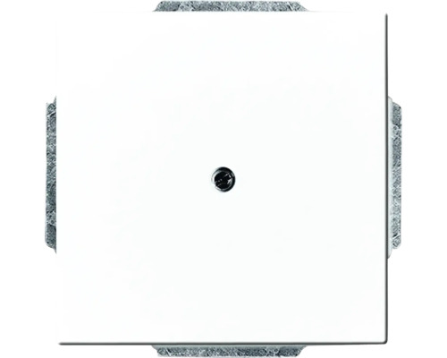 Busch-Jaeger 1742-84 Blindzentralscheibe mit Tragring Future Linear studioweiß Schalterabdeckung