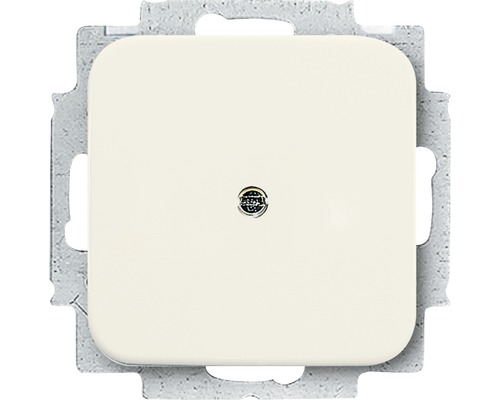 Plaque centrale aveugle Busch-Jaeger 2538-212 avec bague de support Duro 2000 SI blanc