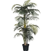 Palmier artificiel Areca golden Cane, hauteur 190 cm, vert-thumb-0