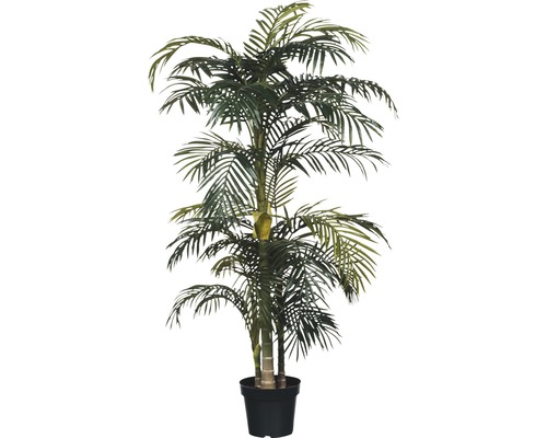 Palmier artificiel Areca golden Cane, hauteur 190 cm, vert
