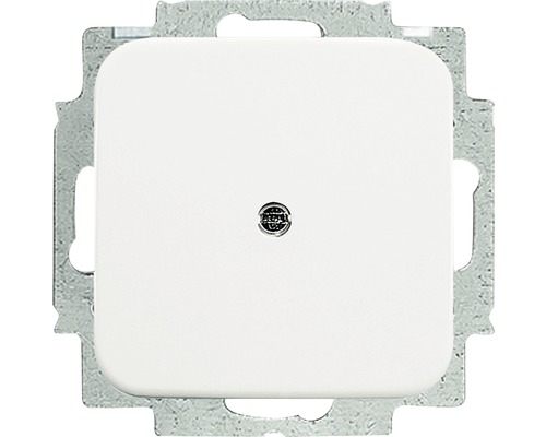 Plaque centrale aveugle avec bague support Busch-Jaeger 2538-214 Reflex QD blanc alpin