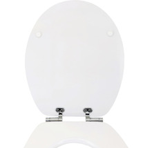 Abattant de WC en plastique avec charnières chromées