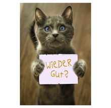 Un chat gris tient une pancarte avec l''inscription: Tout va bien maintenant?